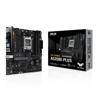 【ASUS 華碩】TUF GAMING A620M-PLUS 主機板+AMD R5 8400F盒+華碩 DUAL RTX4060 O8G EVO