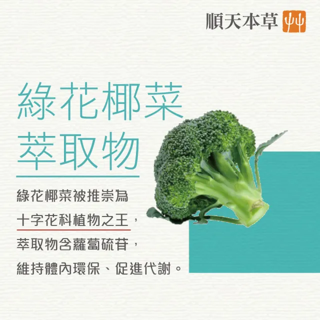 【順天本草】順天本草2.5 魚腥草配方(4盒組 15入/盒X4)