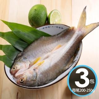 【華得水產】日式午仔魚一夜幹3尾(200-250G/尾)