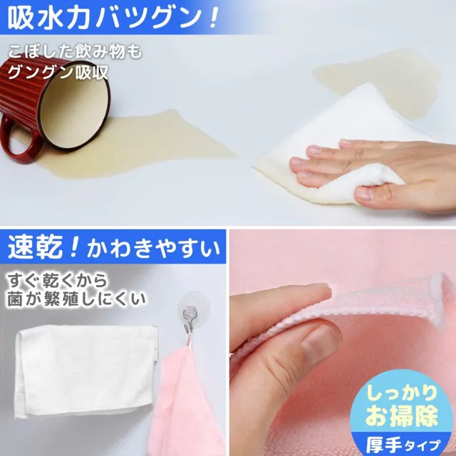 【台隆手創館】LEC廚房專用抹布2入(S-121)