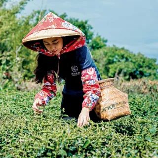 【農遊超市】美加茶園(貓空茶時光雙人茶香炸物套餐)