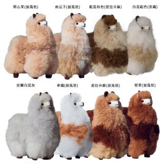 【ST.MALO】秘魯工匠手工原生羊駝毛模擬羊駝家飾娃娃25cm