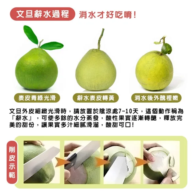 【momo獨家X台南麻豆李天寶】40年麻豆紅文旦10斤x4箱(5-8顆/箱_果農直配/產銷履歷/柚子)(中秋禮盒)