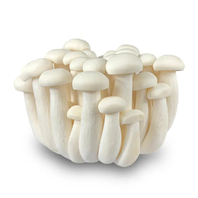 成交量 鴻喜 菇 盛花園蔬果南投國姓鄉鴻喜菇120g x6包 溫控栽培 具蟹香風味 - momo購物網- 好評推薦-2026年10月