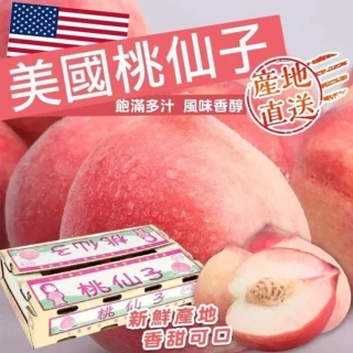 【WANG 蔬果】美國加州桃仙子水蜜桃大顆4.5kgx1箱(16-18顆/箱_原裝箱)
