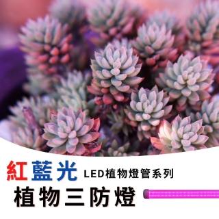 【JIUNPEY 君沛】1入組 4呎 50W紅藍光植物燈管 防水型雙燈芯設計(植物生長燈 三防燈)