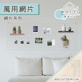 【撥撥的架子】60x150cm 壁掛款 網片 鹿角蕨裝飾架 裝飾牆 植物架 牆上掛架 網掛架(2x5 多功能網片)