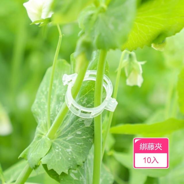 【茉家】環保型植物卡扣固定夾(10入)