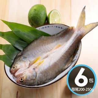 【華得水產】日式午仔魚一夜幹6尾(200-250G/尾)