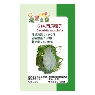【蔬菜工坊】G14.南瓜種子