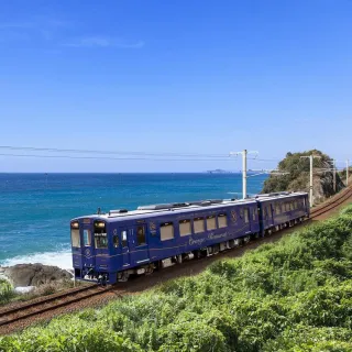 【喜鴻假期】【九州熊食在５日】肥薩食堂列車、熊本城、萌熊電車、指宿砂浴、抹茶DIY、櫻島渡輪