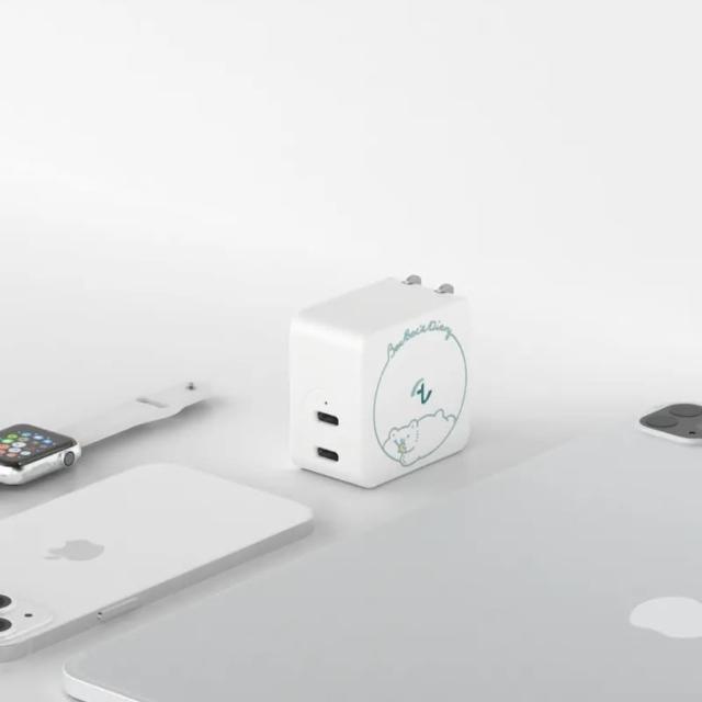 【Allite】Allite 65W GaN 氮化鎵 雙孔 USB-C PD 快充充電器(白白日記聯名款)