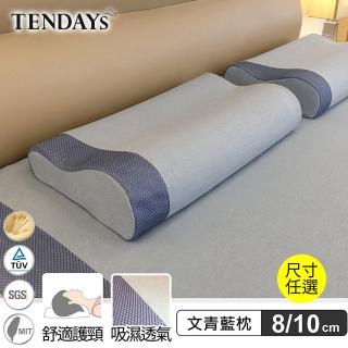 【TENDAYS】玩色柔眠記憶枕(文青藍 8/10cm任選)