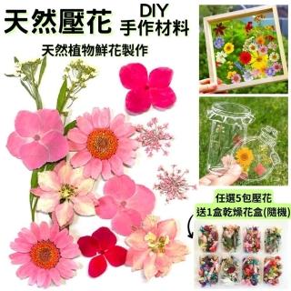 【A-ONE 匯旺】乾燥壓花 押花材料 永生花 植物花卉 手賬手工裝飾 DIY花朵 壓花材料包