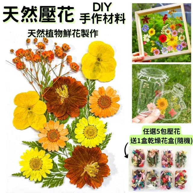 【A-ONE 匯旺】壓花材料 乾燥花材料 壓花 押花 手工壓花 植物 壓花DIY 乾花書籤