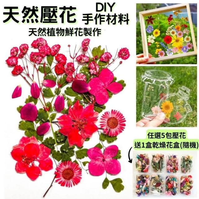 【A-ONE 匯旺】乾燥壓花 書籤花 壓花書籤 永生花 乾燥花 押花 壓花書籤 花藝材料包