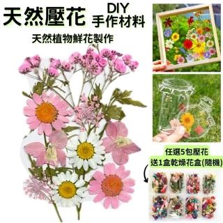 【A-ONE 匯旺】天然乾燥壓花 花藝材料包 浮游花 永生花 乾花 乾燥花 親子手工 香氛材料