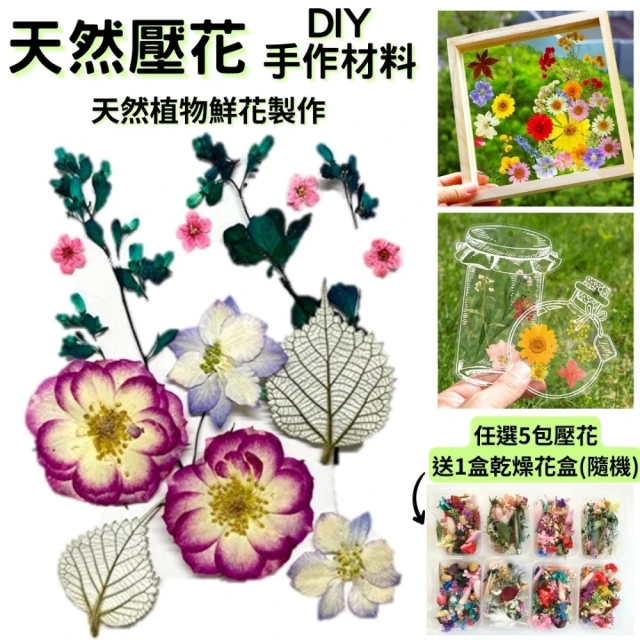 A-ONE 匯旺 壓花材料包 永生押花 乾燥花書籤 材料包 花材 花藝 花材 天然乾燥花永生花