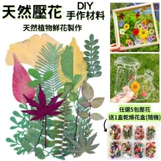 【A-ONE 匯旺】乾燥花材料盒 永生花材料 乾燥花不凋花 香薰蠟燭材料 浮油花 裝飾花 壓花