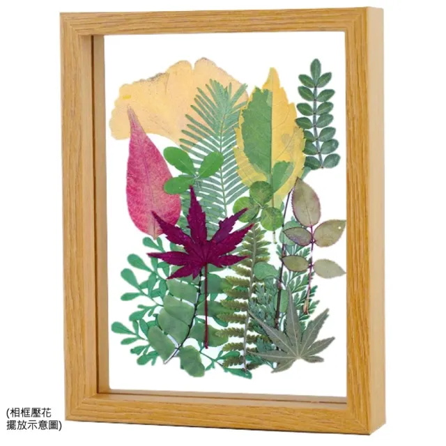 【A-ONE 匯旺】乾燥花材料盒 永生花材料 乾燥花不凋花 香薰蠟燭材料 浮油花 裝飾花 壓花