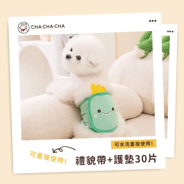 【chachacha】犬用禮貌帶+護墊30片(可重復使用/狗尿布/犬用生理褲)