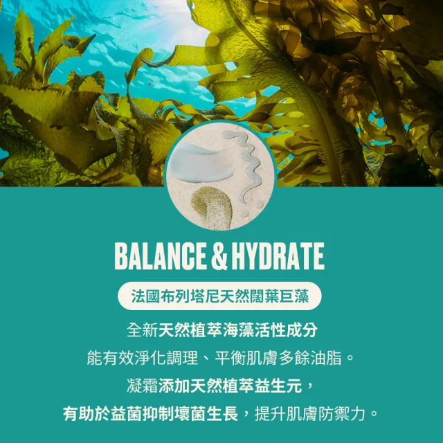 【THE BODY SHOP 美體小舖】海藻淨化凝霜-50ML(凝霜)