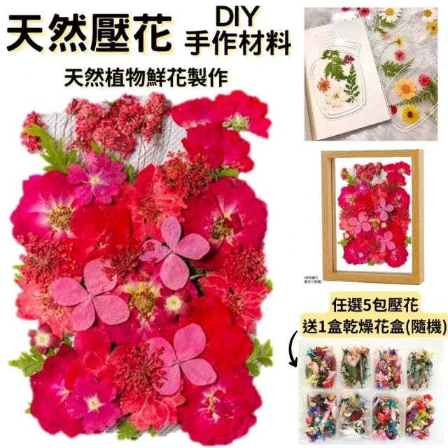 台北花苑 浪漫瑰麗永生花禮(恆星花 永生花 情人 生日送禮)