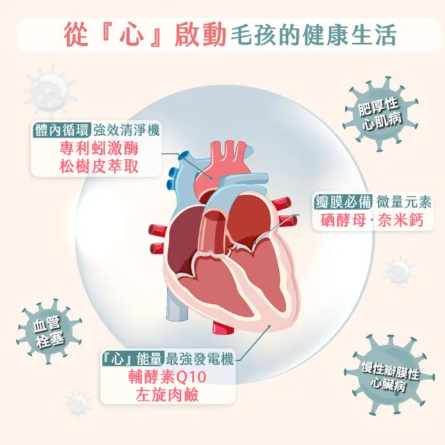 【GOODMO 歸毛家族】Good寶系列-強心寶30包*1盒(貓狗保健/心臟保健)