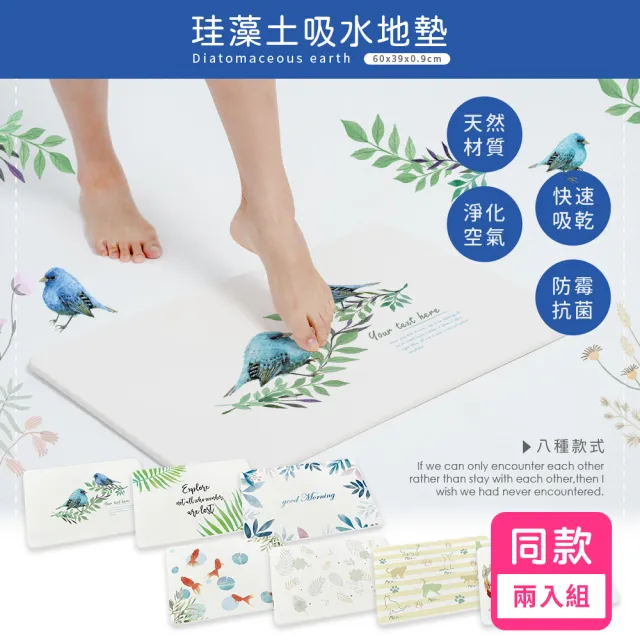 【收納王妃】台灣製造 彩繪系列 硬式珪藻土地墊 吸水 速乾 腳踏墊 浴室地墊 2入組(約 60x39x0.9 cm)