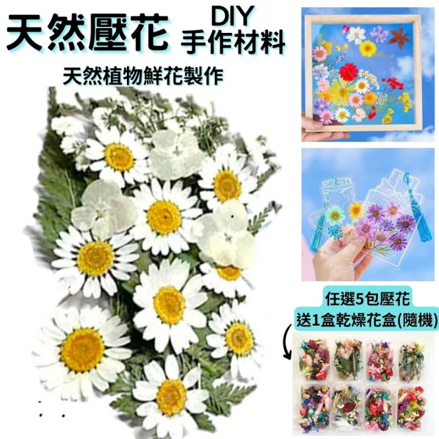 台北花苑 浪漫瑰麗永生花禮(恆星花 永生花 情人 生日送禮)