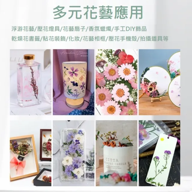 【A-ONE 匯旺】天然壓花 押花書籤 壓花材料包 乾燥花書籤 壓花DIY 樹葉書籤 乾燥花