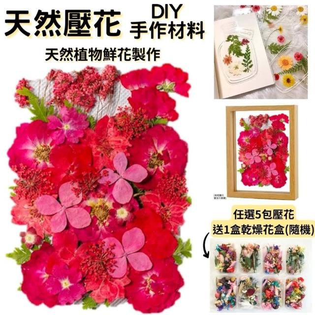【A-ONE 匯旺】紅色花材包 真花壓花 永生花 綠葉材料包 DIY書籤 乾燥花 植物標本