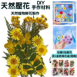 【A-ONE 匯旺】花包組合 真花壓花 永生花 天然花材 DIY水晶 乾燥花 植物標本材料包