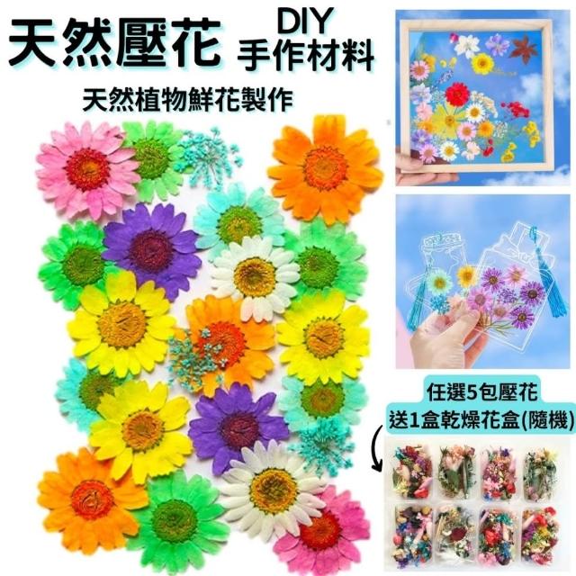 【A-ONE 匯旺】DIY乾燥花超值包 乾燥花材料包 幼兒園 手工自製天然壓花 乾花 自製書籤