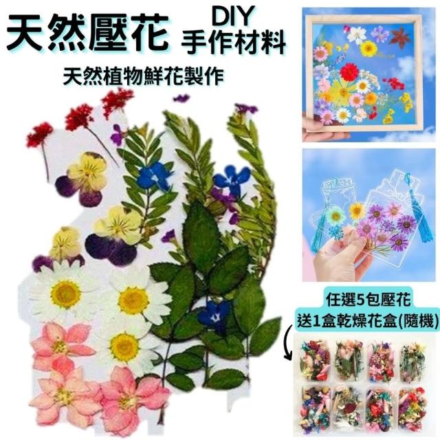 【A-ONE 匯旺】綜合壓花材料包 乾燥花 DIY花材 花藝材料 乾燥花 香薰蠟燭 浮油花 壓花