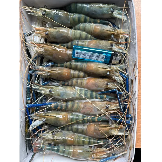 【好神】鮮凍泰國蝦3斤組(600g/16-17尾/盒/中秋烤肉/火鍋/燒烤)