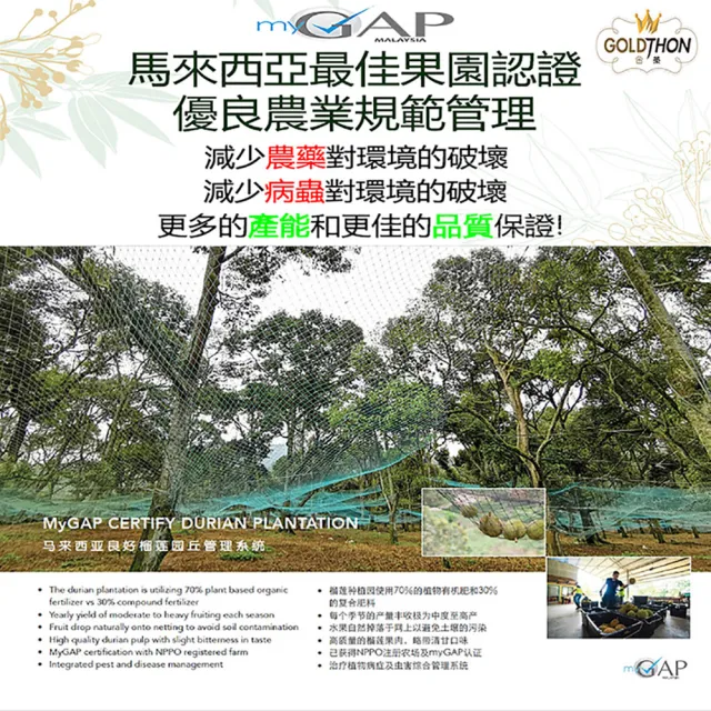【Gold Thon】馬來西亞黑刺榴槤果肉盒裝400克*2盒(真空貼體盒裝 清真認證)