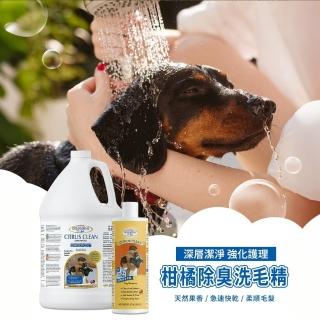 【美國康蒂娜研究中心】果漾快乾-柑橘除臭洗毛精(寵物洗澡好輕鬆!)