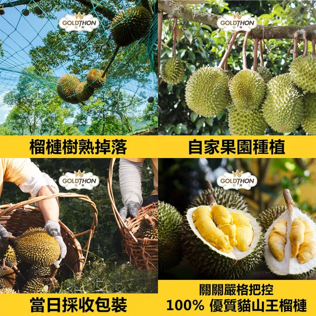 【Gold Thon】馬來西亞老樹蘇丹王榴槤果肉400克*4盒(真空貼體盒裝  清真認證)