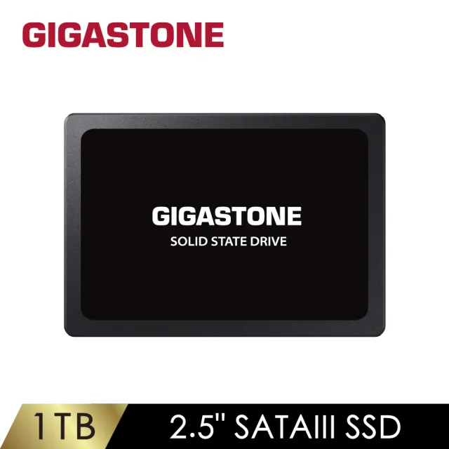 【GIGASTONE 立達】1TB SATA III ssd高效固態硬碟(讀520M/寫480M)