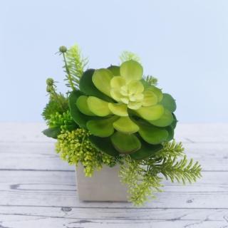 【HUGO DECO 榆果傢飾】大寶石蓮諾貝松香氛植栽(擬真植物/人造盆栽/綠化/佈置/禮物)