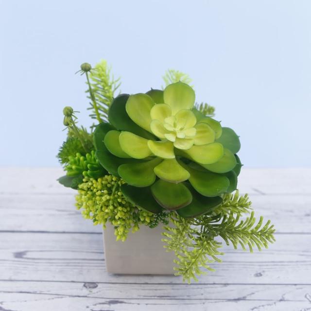 【HUGO DECO 榆果傢飾】大寶石蓮諾貝松香氛植栽(擬真植物/人造盆栽/綠化/佈置/禮物)