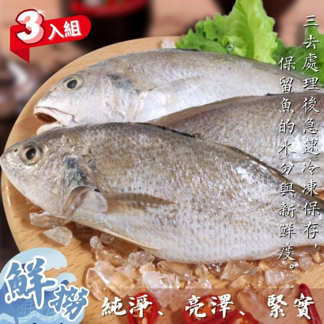 巧食家 台灣午仔魚X20尾(三去、真空 250g~300g/