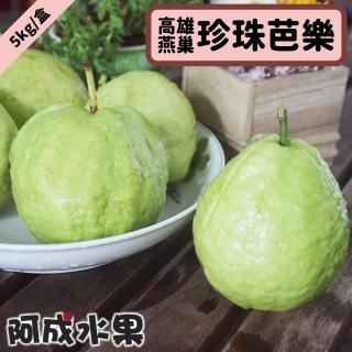 【阿成水果】高雄燕巢珍珠芭樂12-15粒/5kgx1盒(富維生素C 冷藏配送)