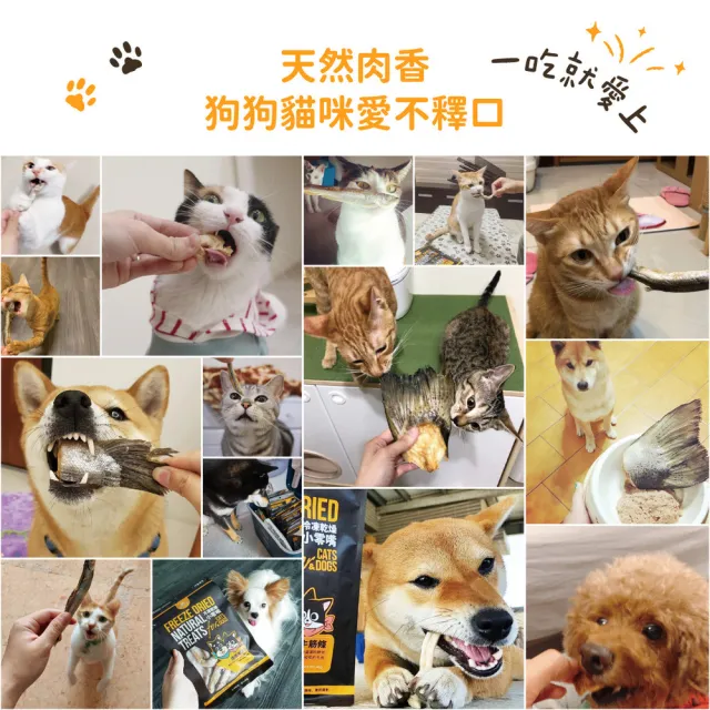 【汪喵星球】犬貓冷凍乾燥原肉零食－原味嫩雞丁60g/罐(犬貓零食)