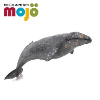 【Mojo Fun】動物模型-灰鯨