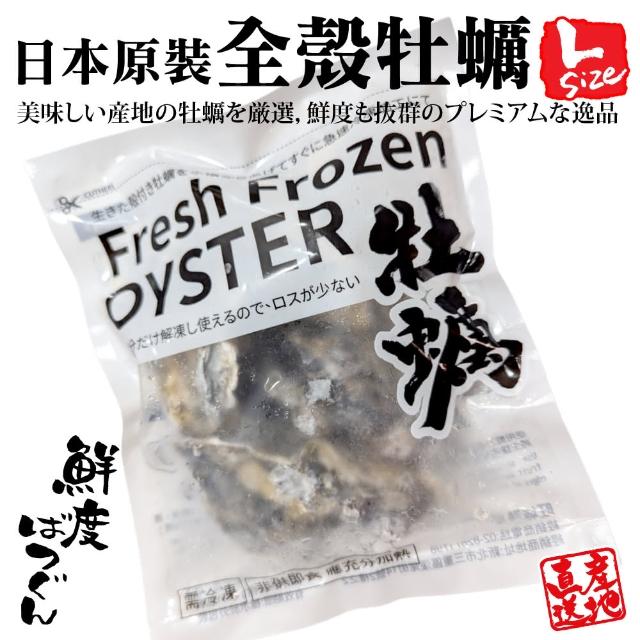 【三頓飯】日本原裝全殼牡蠣L尺寸1包組(共7顆_單顆70-85g/約500g)