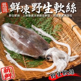 【三頓飯】鮮凍野生軟絲 4隻組(200-300g/隻)