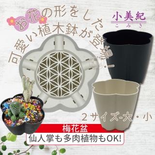 【小美紀】梅花盆(花盆 多肉盆 造型盆 花架 塑膠花盆 多肉植物 組盆 園藝花盆 4寸盆 6寸盆 多肉專用)