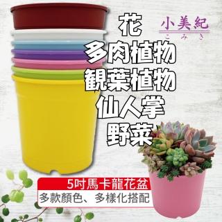 【小美紀】5寸馬卡龍圓盆(5寸花盆 彩色栽培盆 換盆 馬卡龍花盆 花園 多肉花盆 種植 植物 育苗)